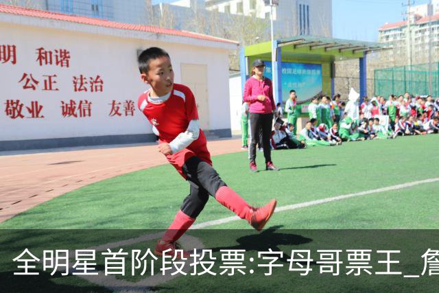 全明星首阶段投票:字母哥票王 詹姆斯西部票王