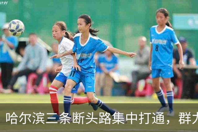 哈尔滨三条断头路集中打通，群力西区那条7米窄路等了十余年