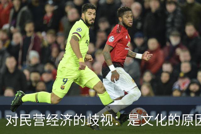 对民营经济的歧视：是文化的原因，还是意识形态的推动